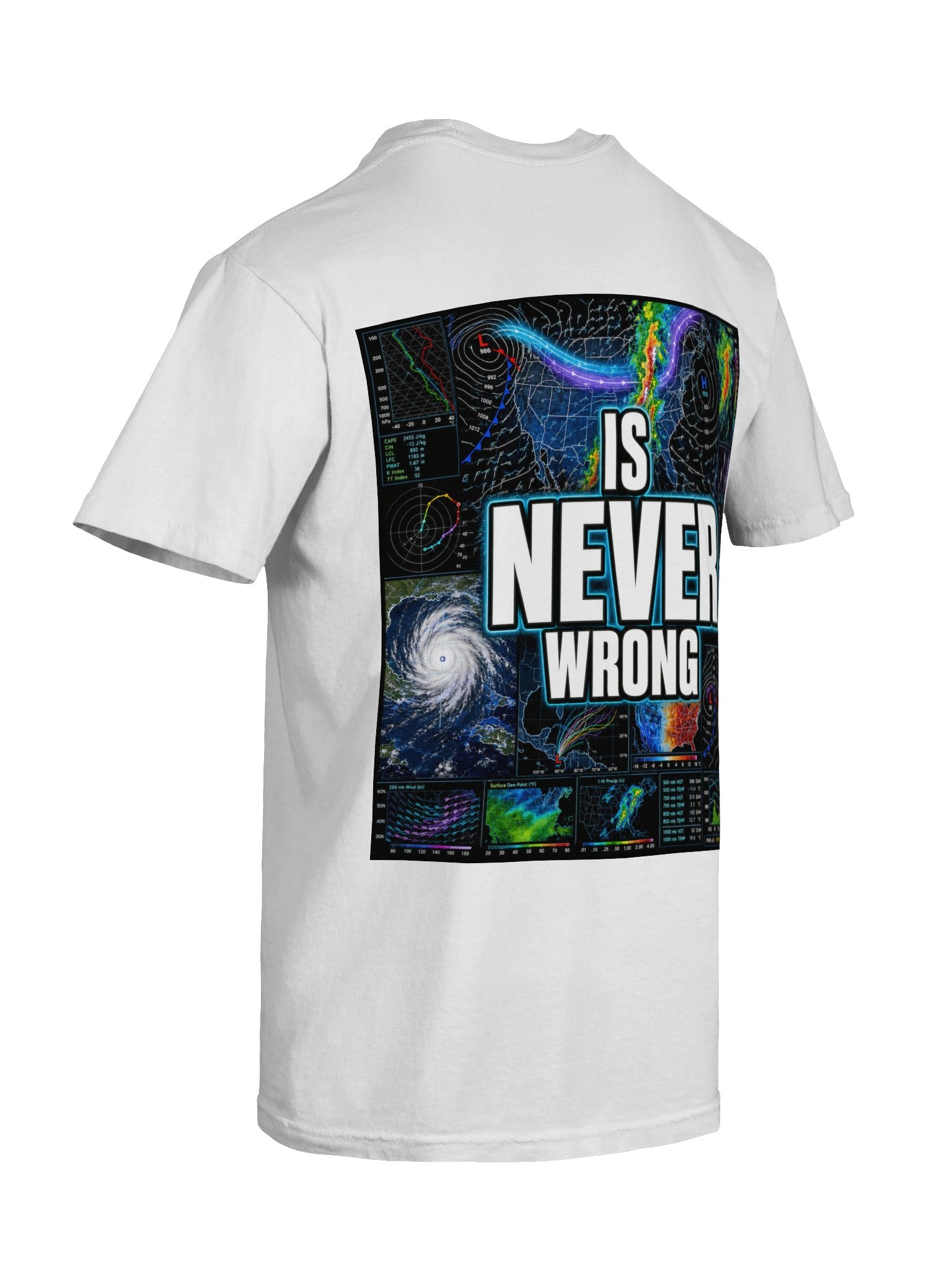 The Data Is Never Wrong product image (8)