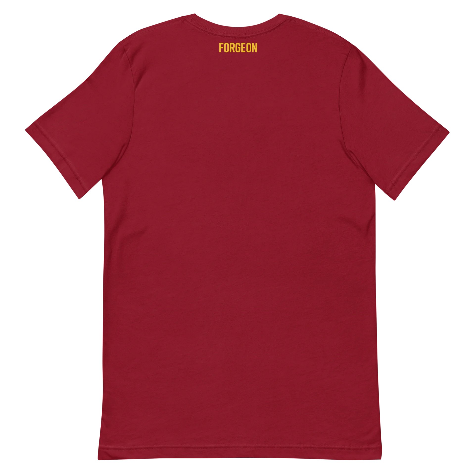 Strength Is Everything – Forged. Not Born. product image (35)