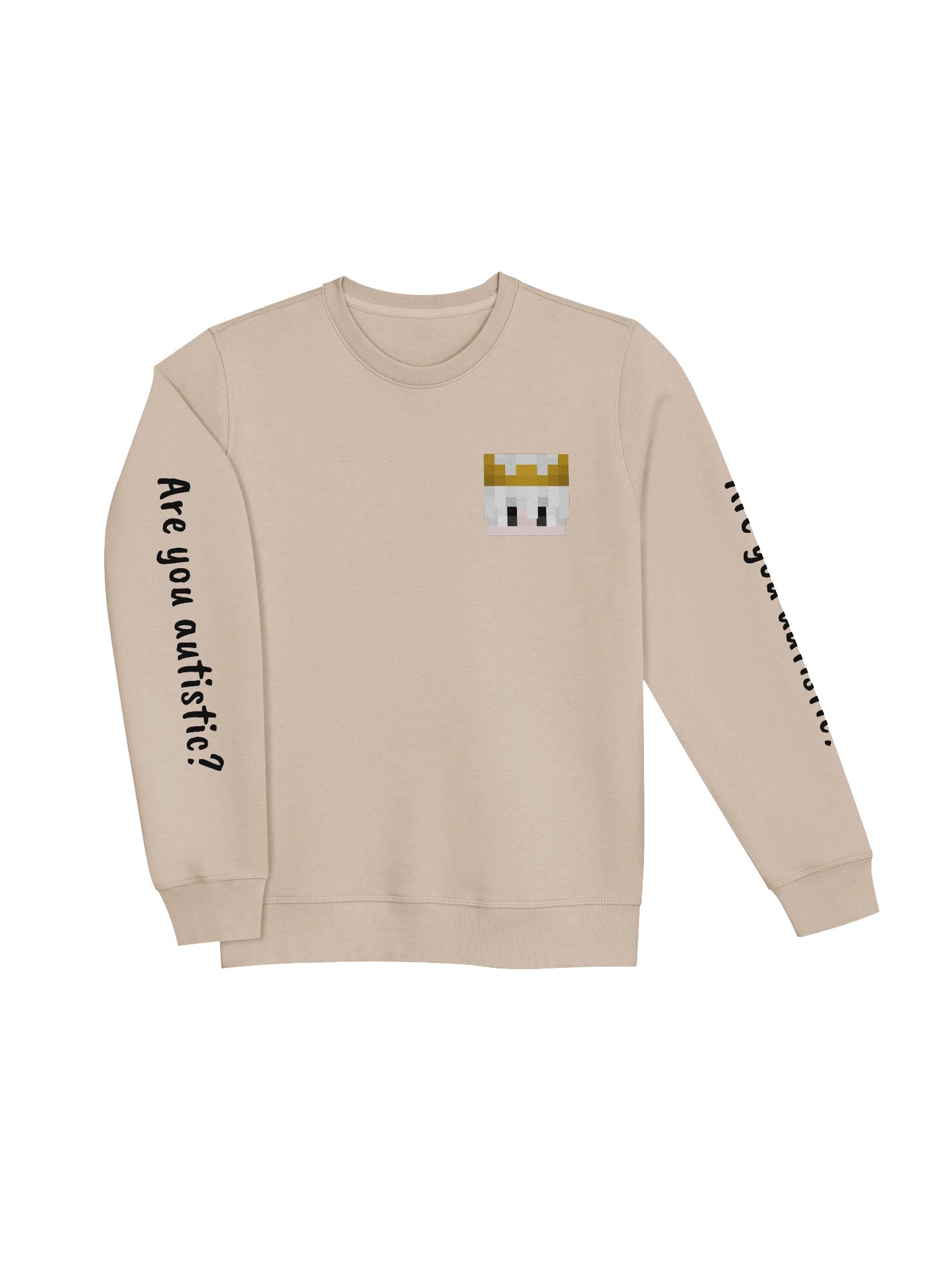 'Are you autistic?' Sweatshirt product image (3)