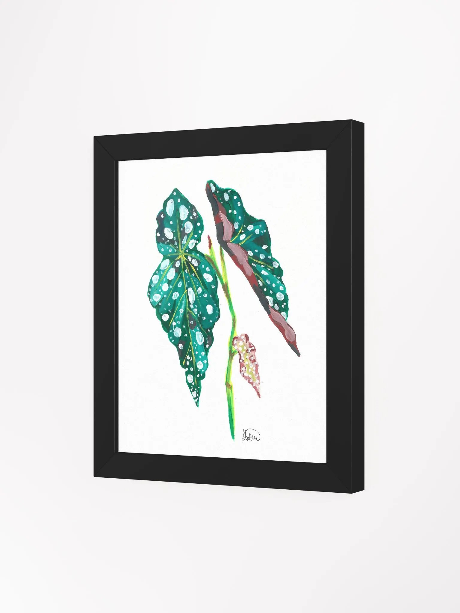 Begonia Frame product image (82)