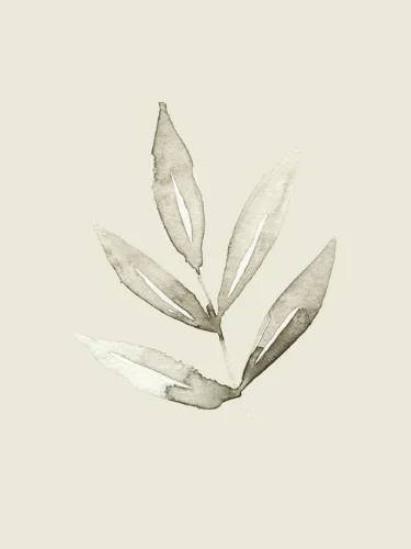 The Roots of Motherhood: A Postpartum Series product image (1)