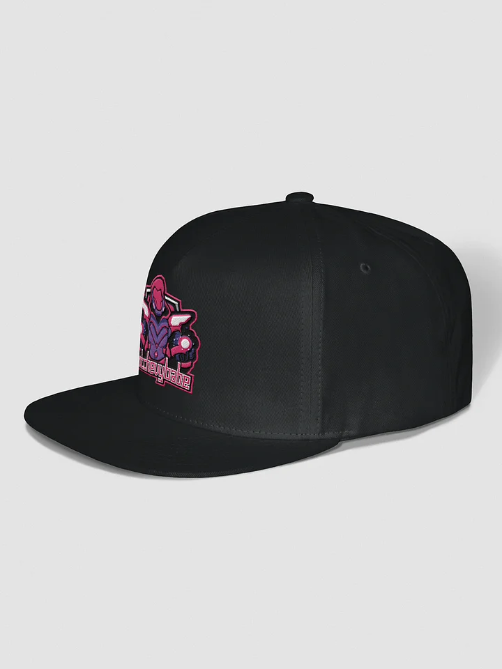 snapback product image (2)
