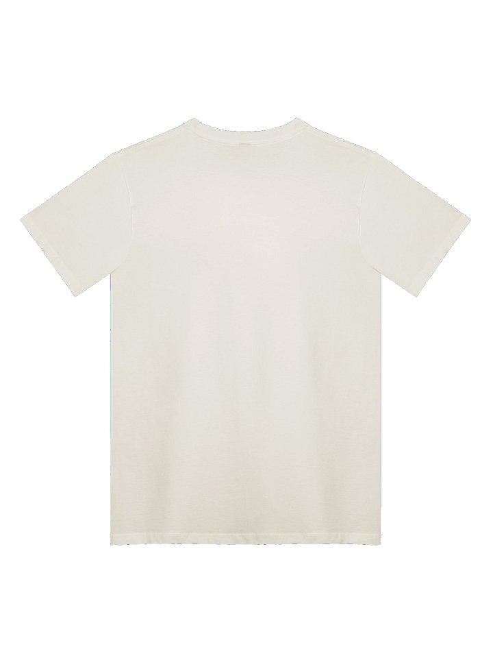 Sane When You Came Tee product image (4)