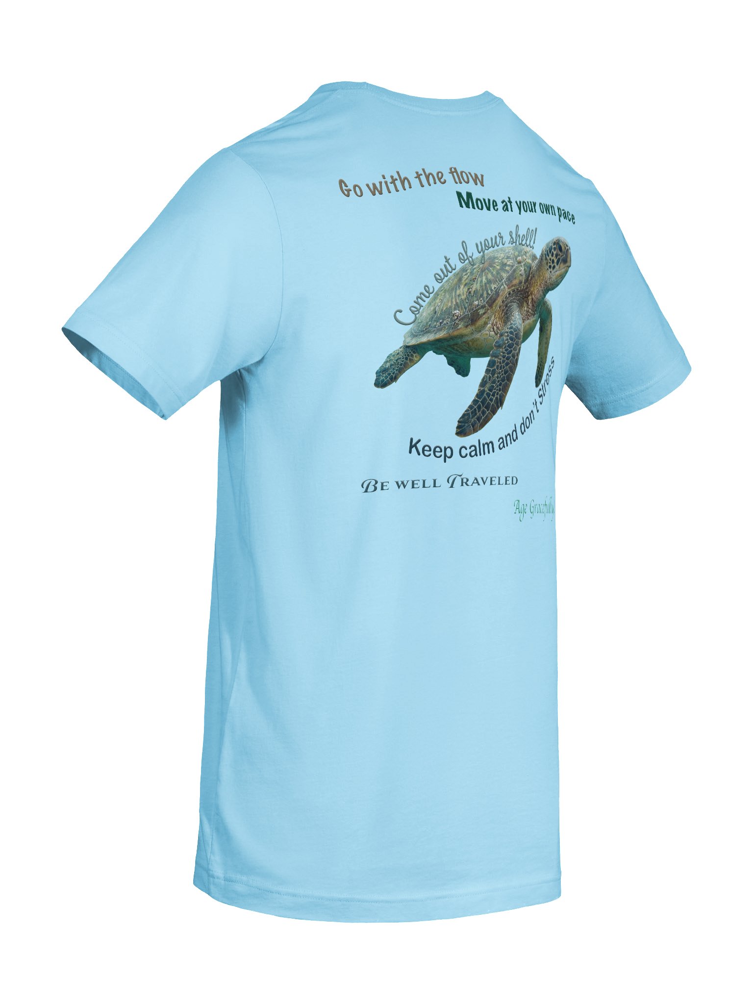 sea Turtleology product image (70)