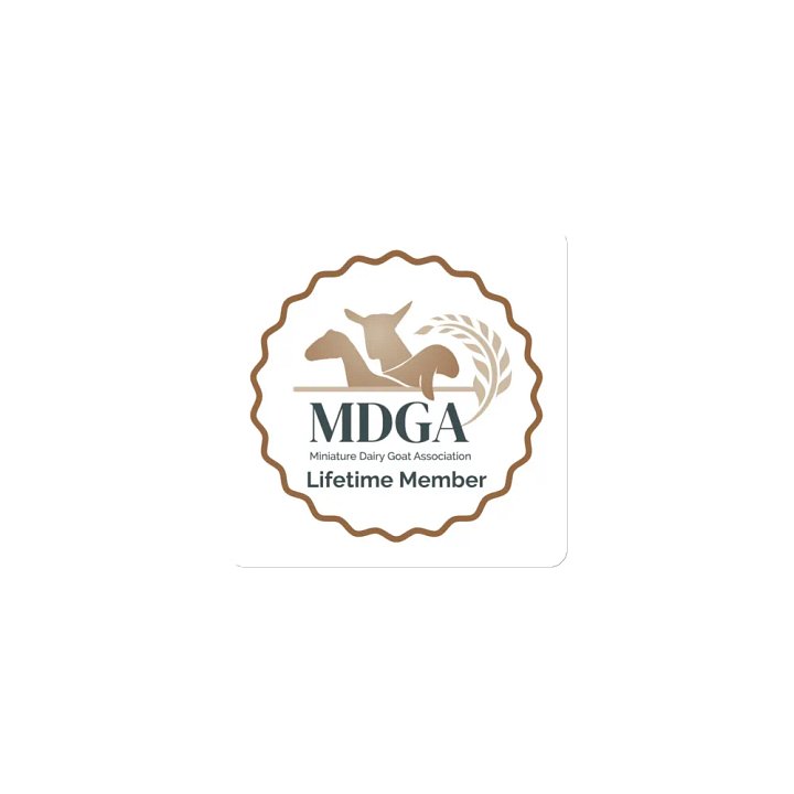 MDGA Lifetime Member Magnet product image (1)