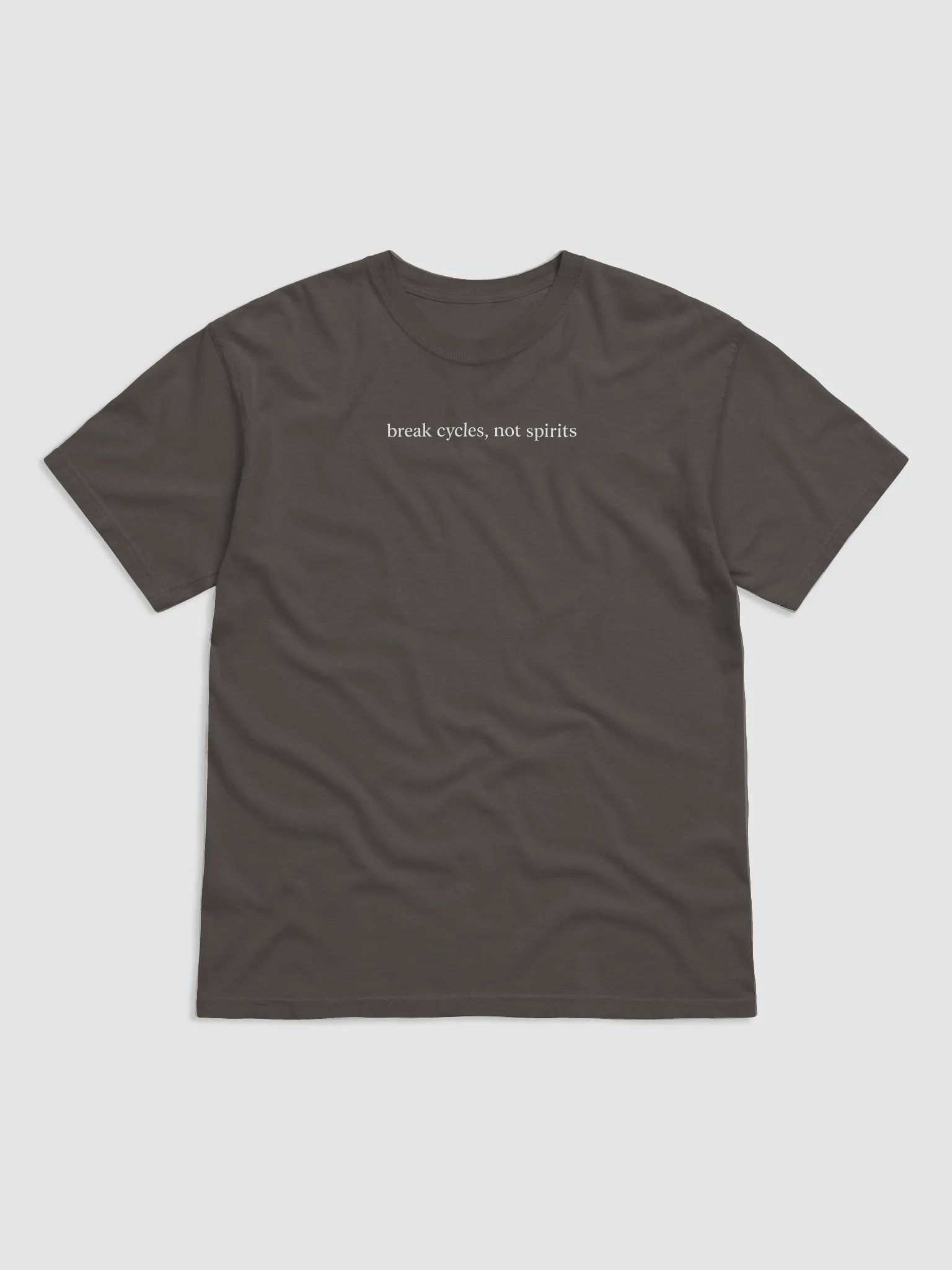 Break Cycles Not Spirits Tee product image (4)