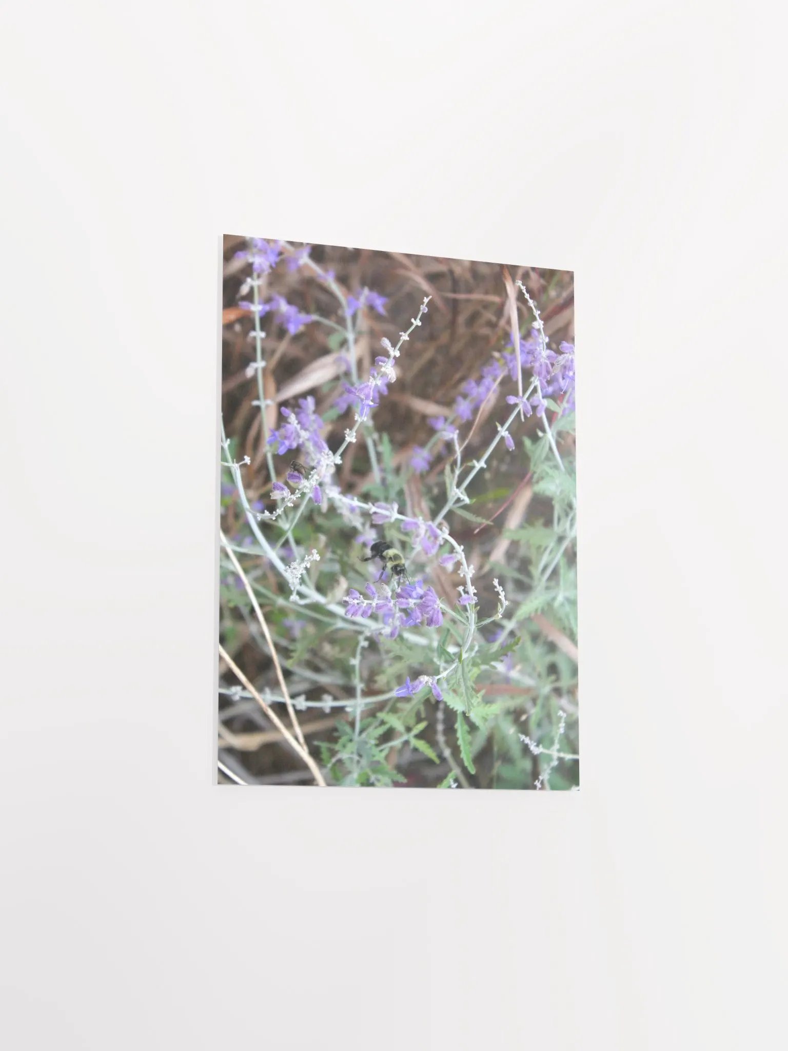 A Study in Flowers 12 product image (32)