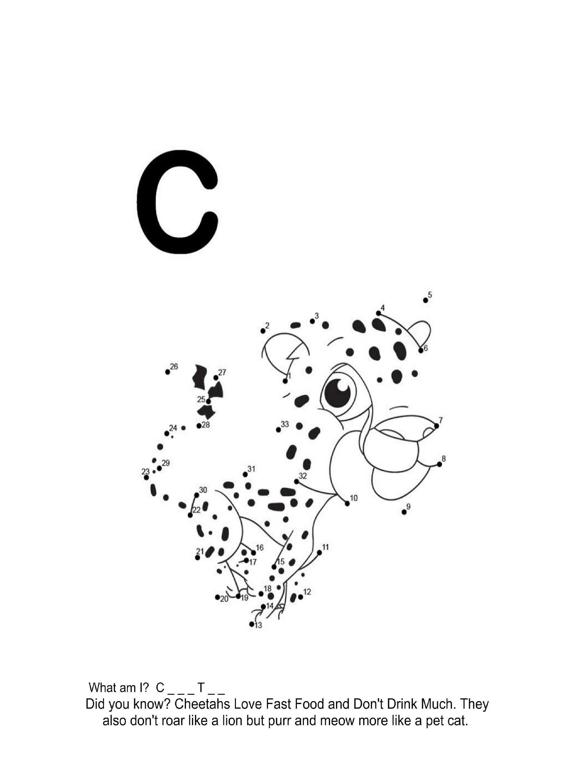Dot to Dot Jungle Animals Coloring Book product image (4)