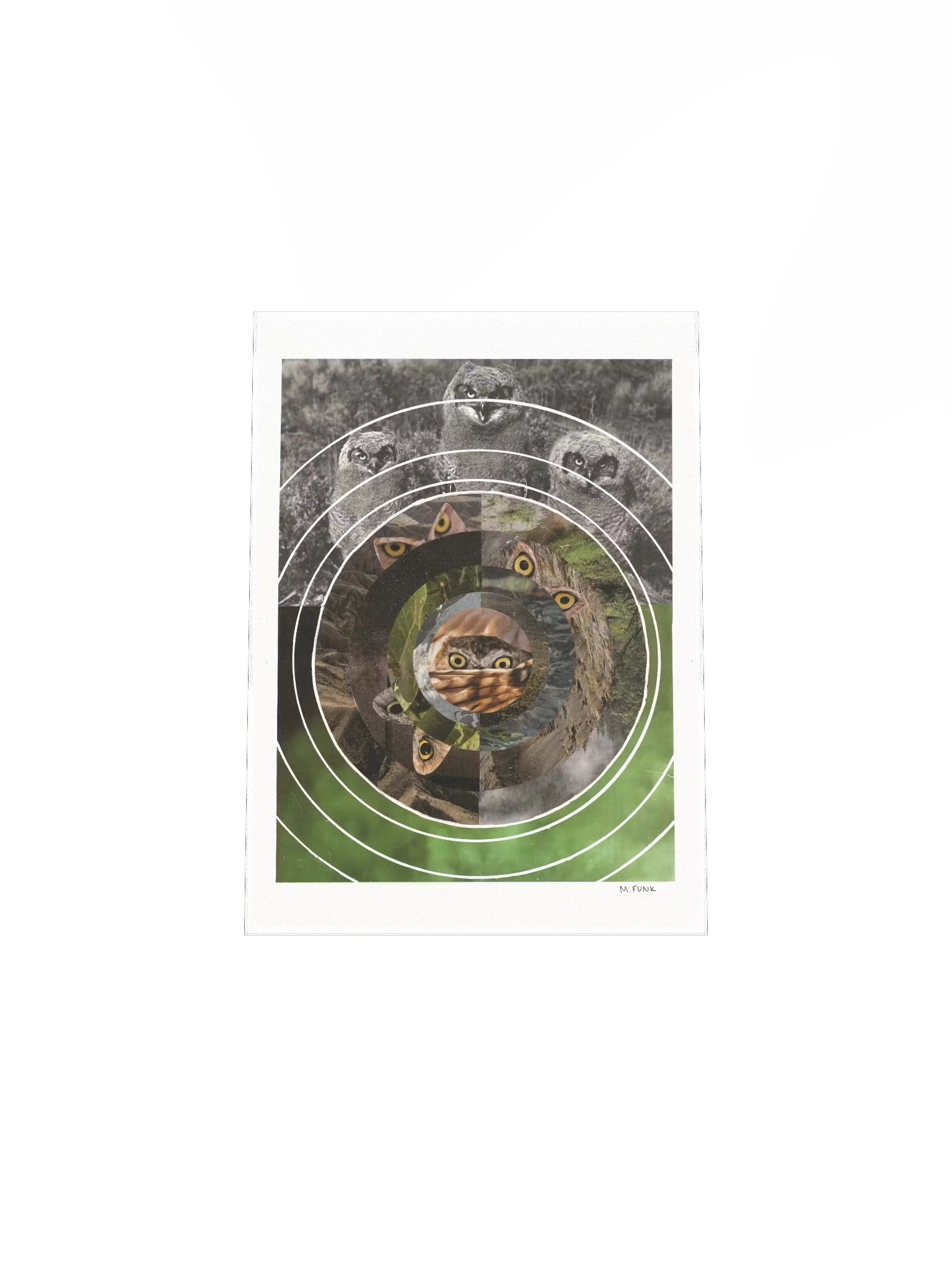 Always Watching product image (4)