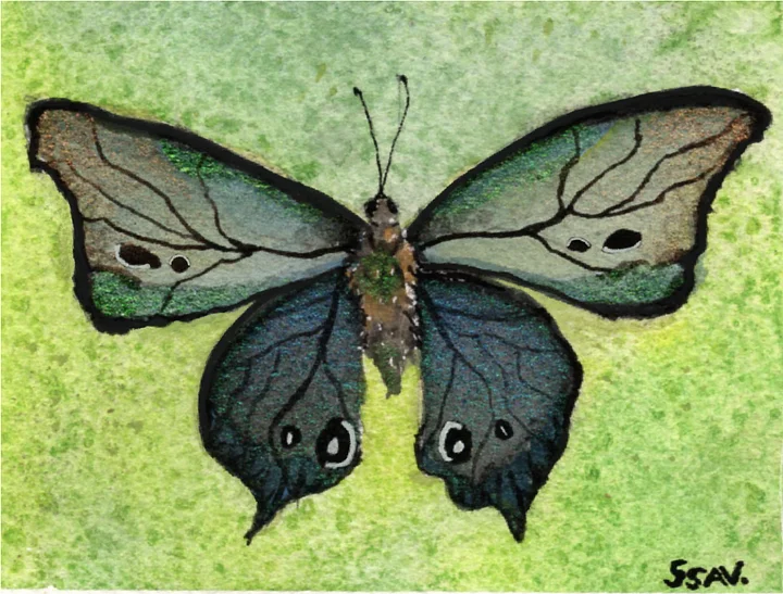 glittery imagined butterfly 4x5.3 print ssav. product image (1)