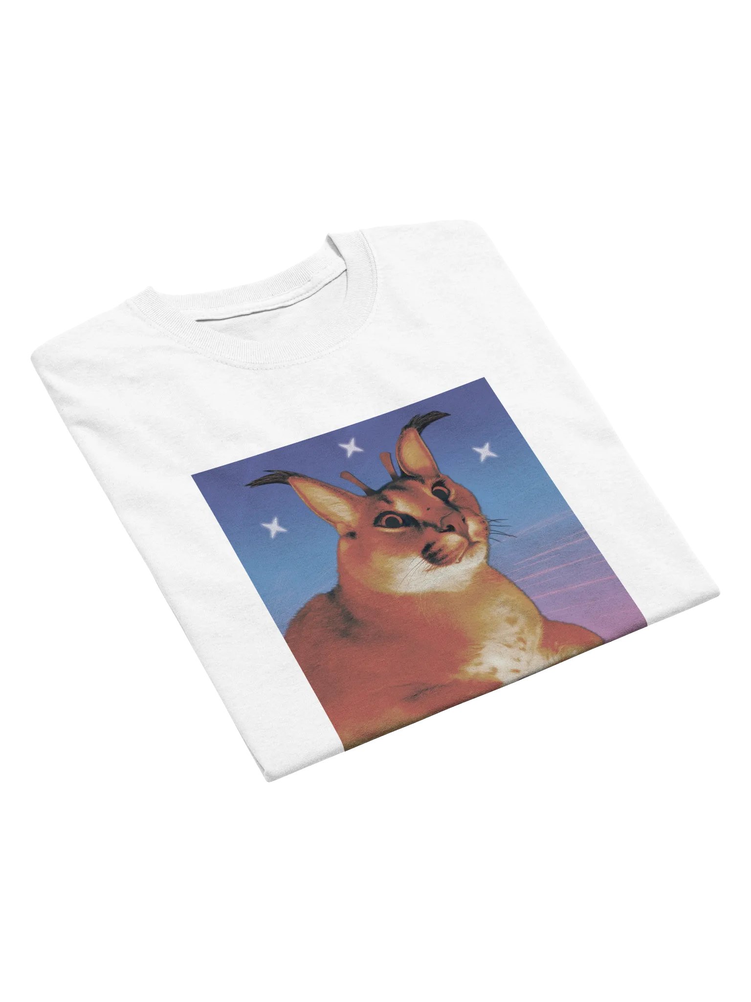 ALIEN FLOPPA MINIMALISTIC TEE (⏃⌰⟟⟒⋏ ⋔⟟⋏⟟⋔⏃⌰⟟⌇⏁⟟☊ ⎎⌰⍜⌿⌿⏃) product image (4)