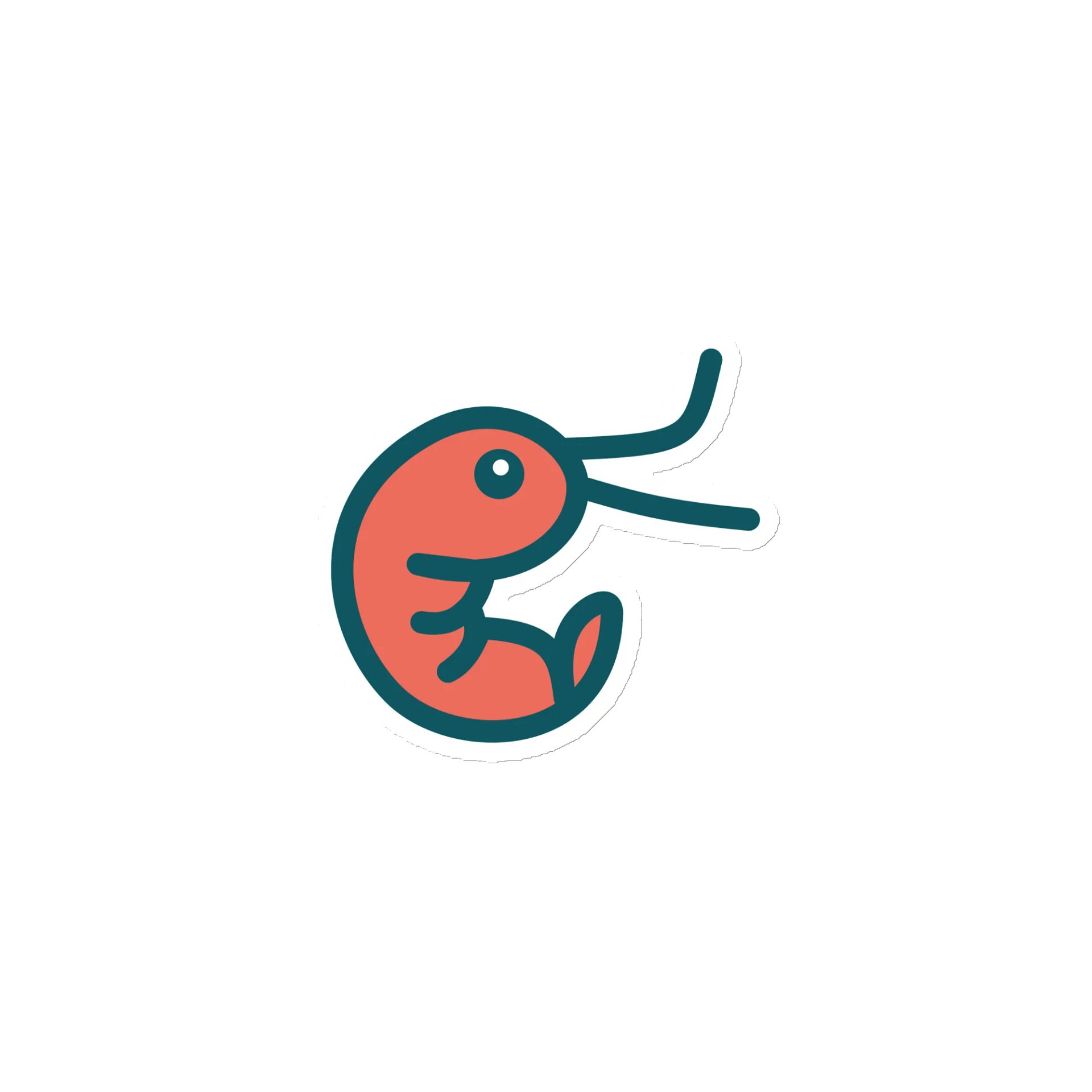 Shrimp on a magnet product image (1)