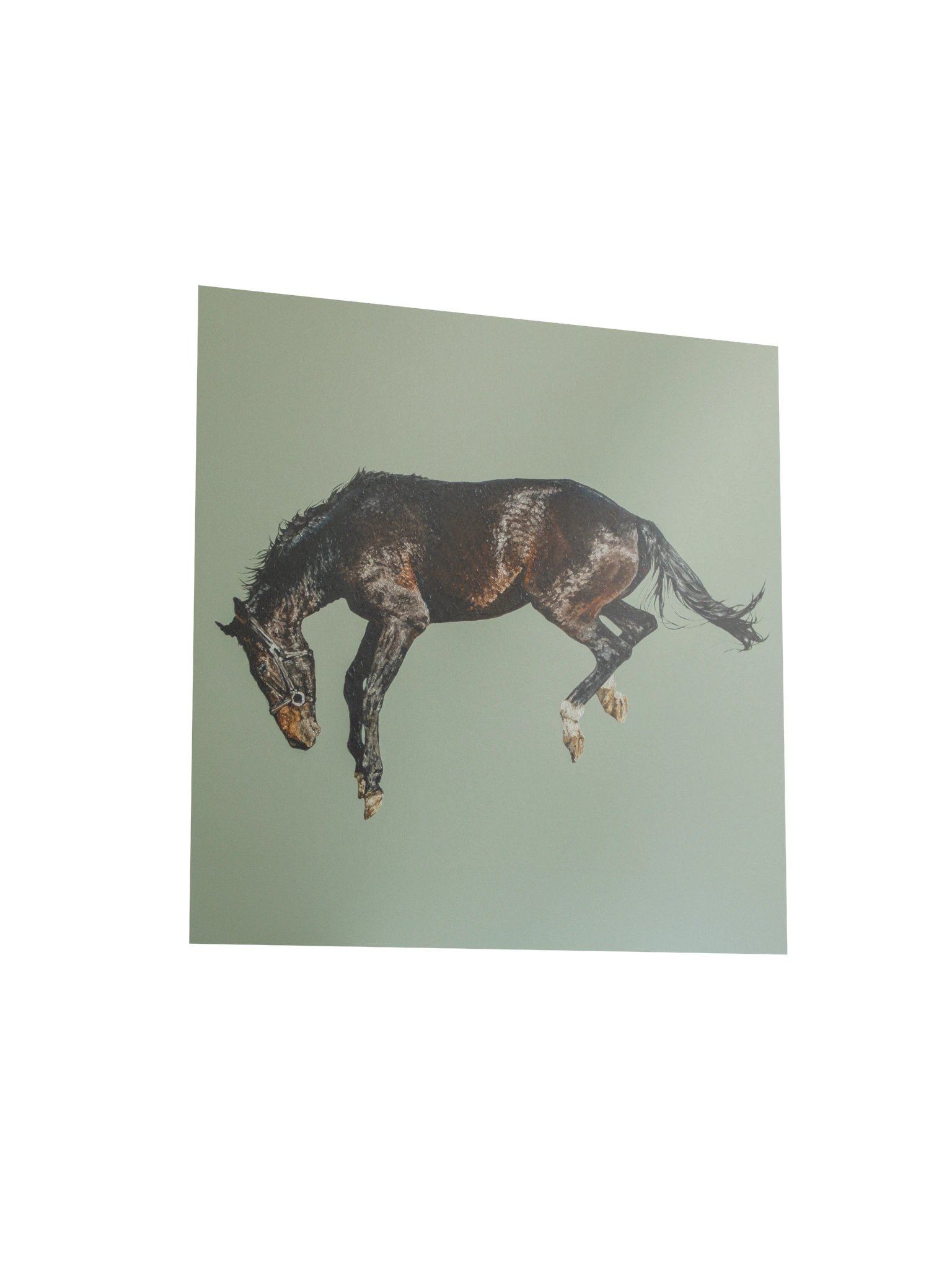 Soaring Freedom Print product image (11)