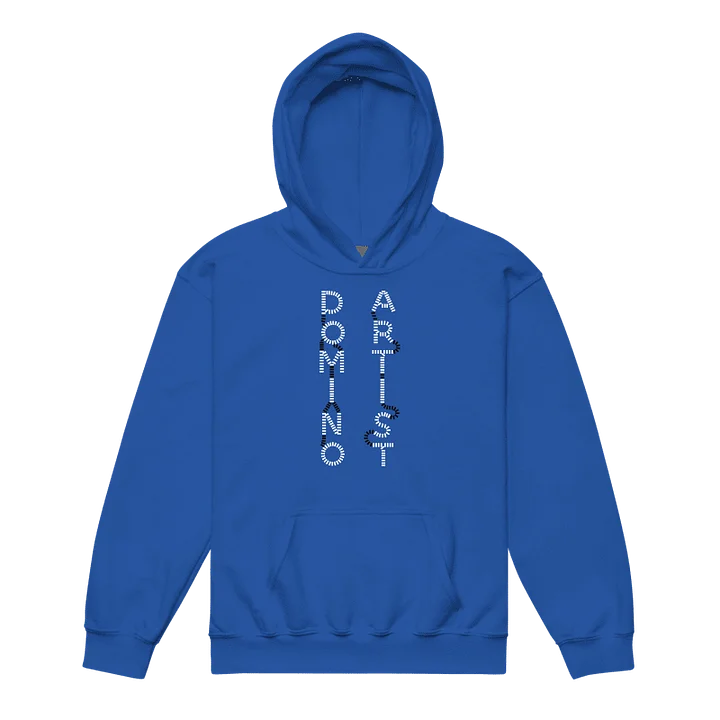 Domino Artist Hoodie (Youth) product image (2)