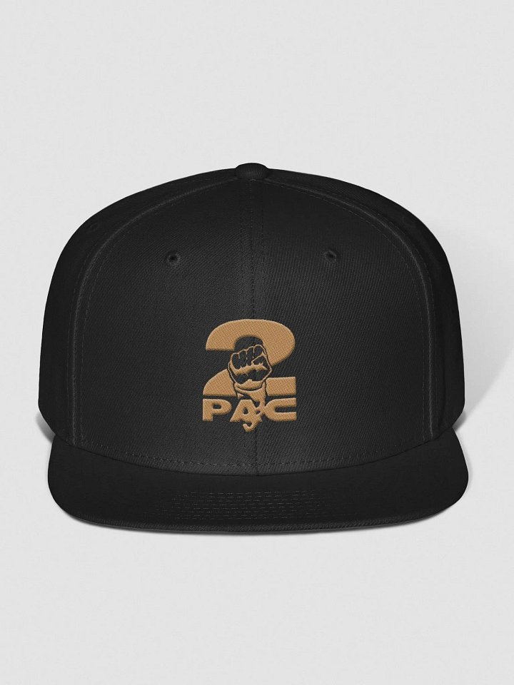 Fist snapback hat [Gray undervisor] product image (1)