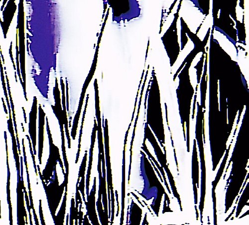 KNOW YOURSELF.

07/—/24