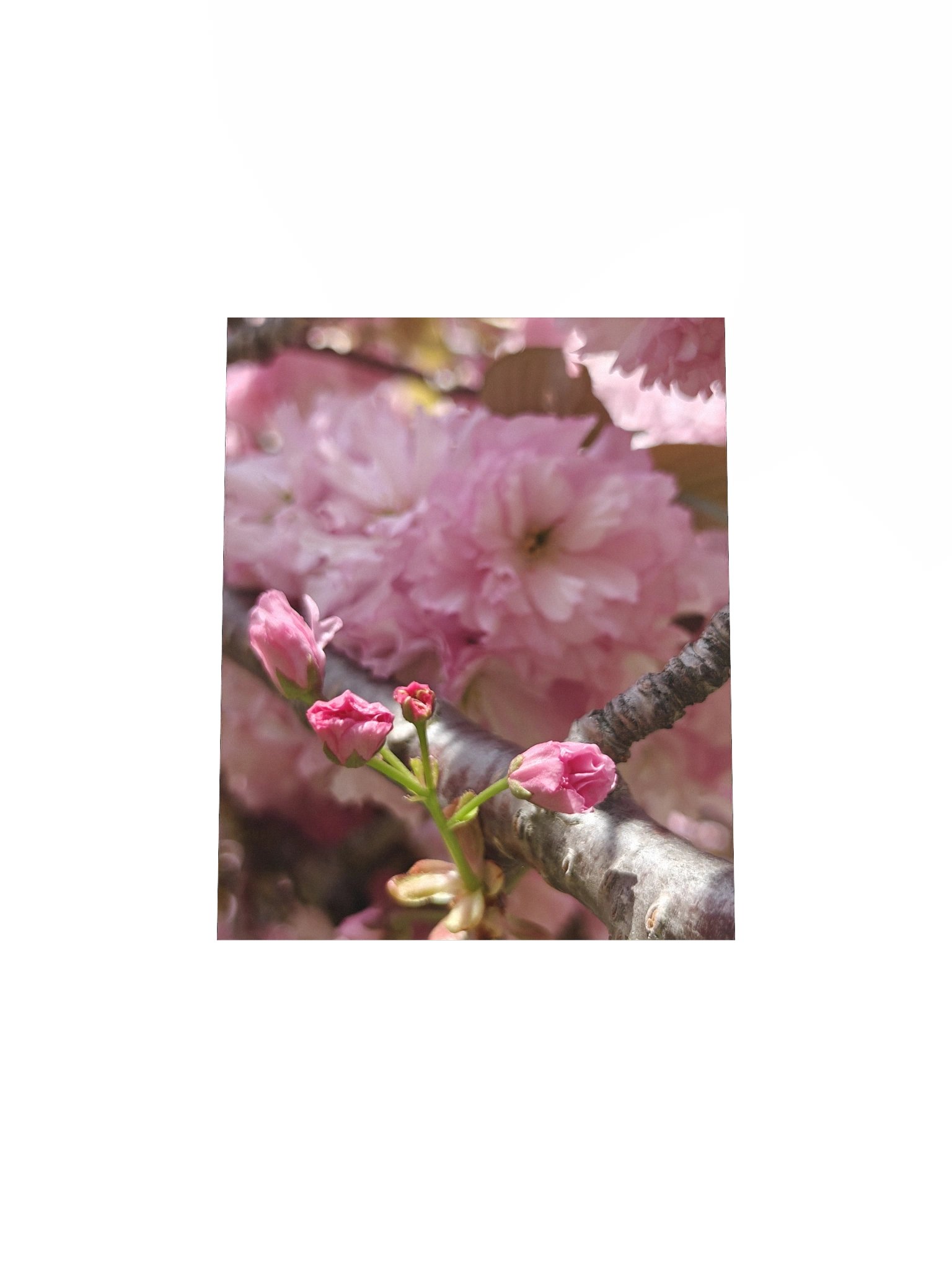 soft return - art print product image (4)