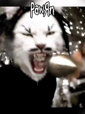 Freak on a Leash just became a cat video. 🐈‍⬛ Meet PawЯn. Yes, the shirts at the end are real. Comment PAWRN and I’ll DM you the shirt link. 🤘 @korn_official @officialjonathandavis @munky_korn @brianheadwelch @fieldykorn @silveriadavid #Korn #FreakOnALeash #CatsAndMetal #Pawrn