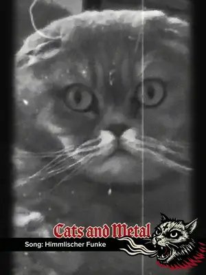 Cats and Black Metal! 