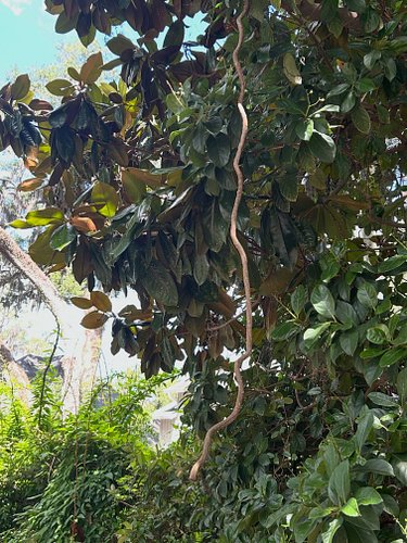 When you don’t wear your glasses, you see 🐍 everywhere 😳

#genxers