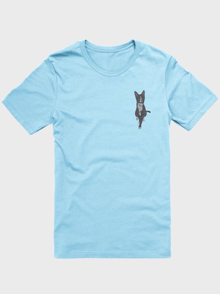Domestic Shorthair Tshirt - Pinto product image (13)