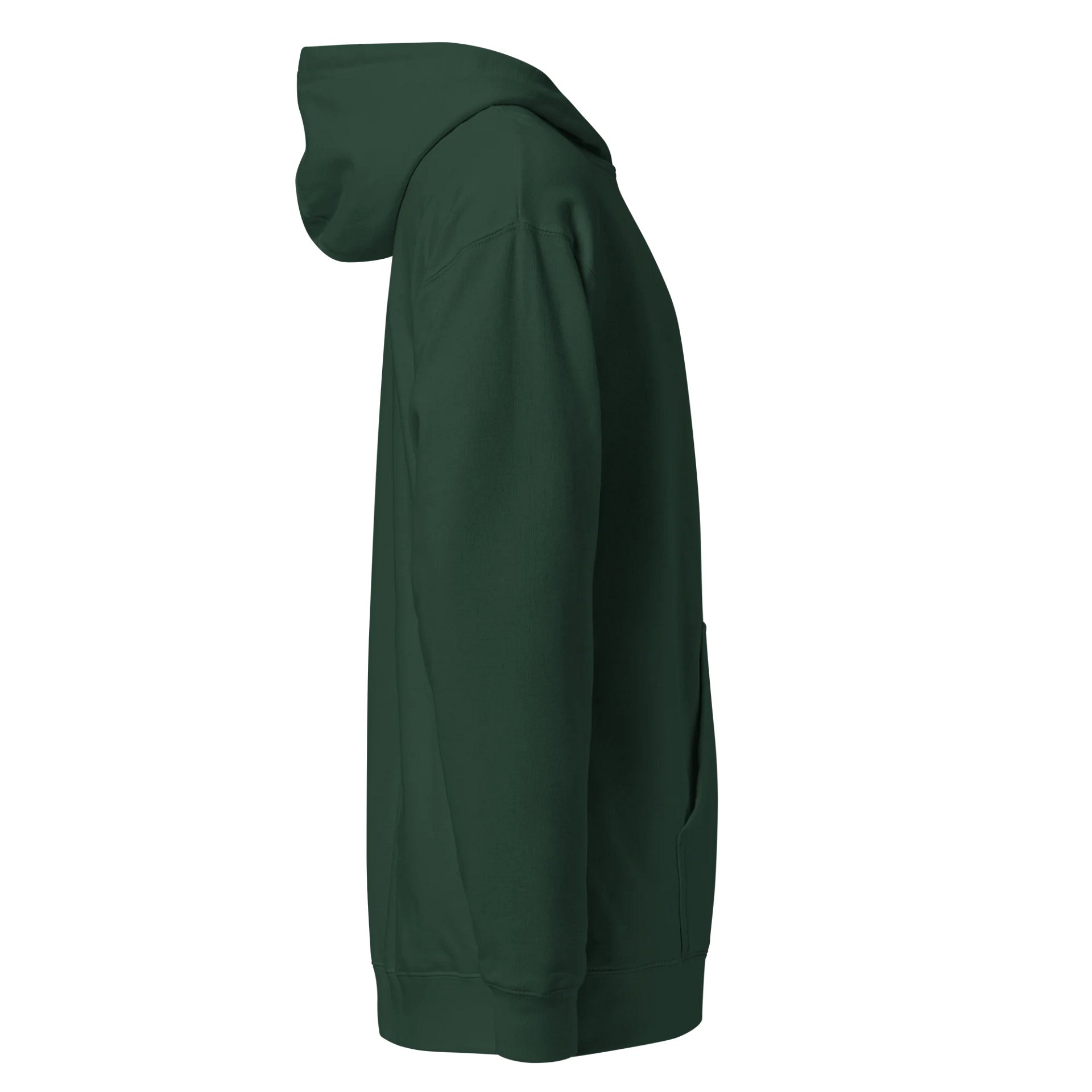 Hoodie Typ 1 product image (14)