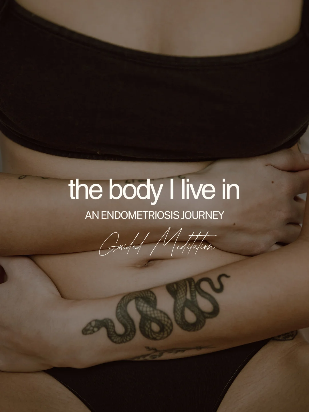 The Body I Live In - An Endometriosis Healing Journey product image (1)