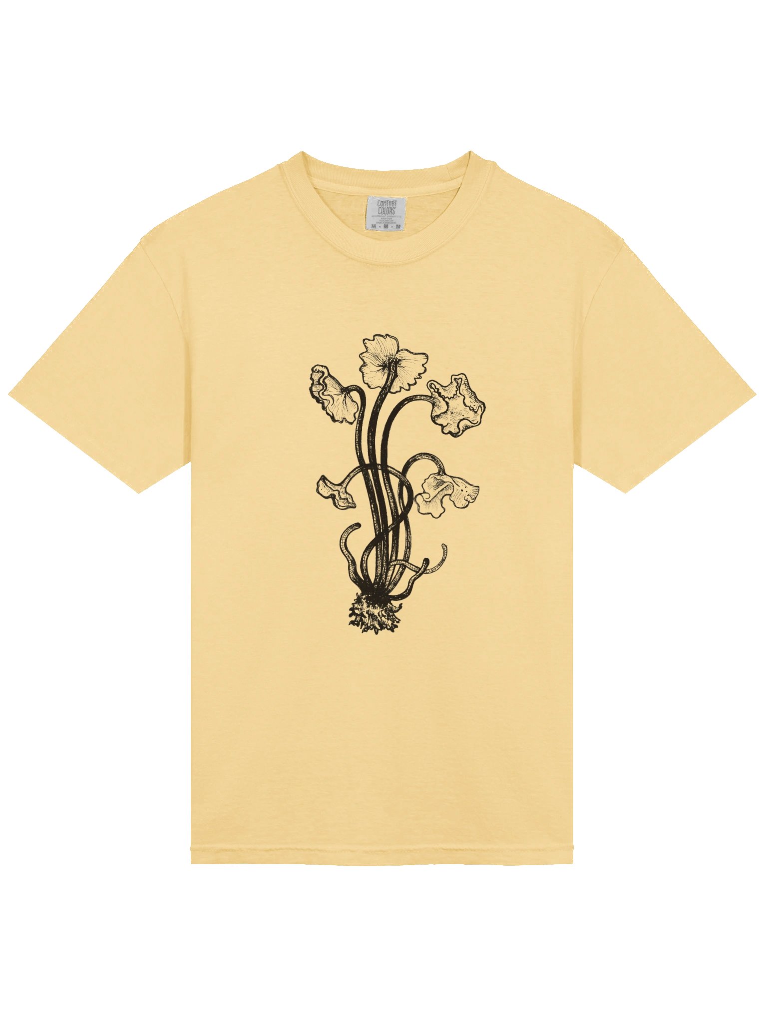 Brown Chanterelle - Print product image (43)
