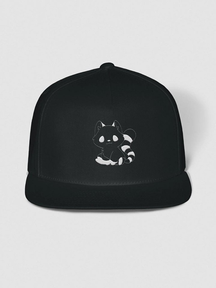 Snapback product image (1)