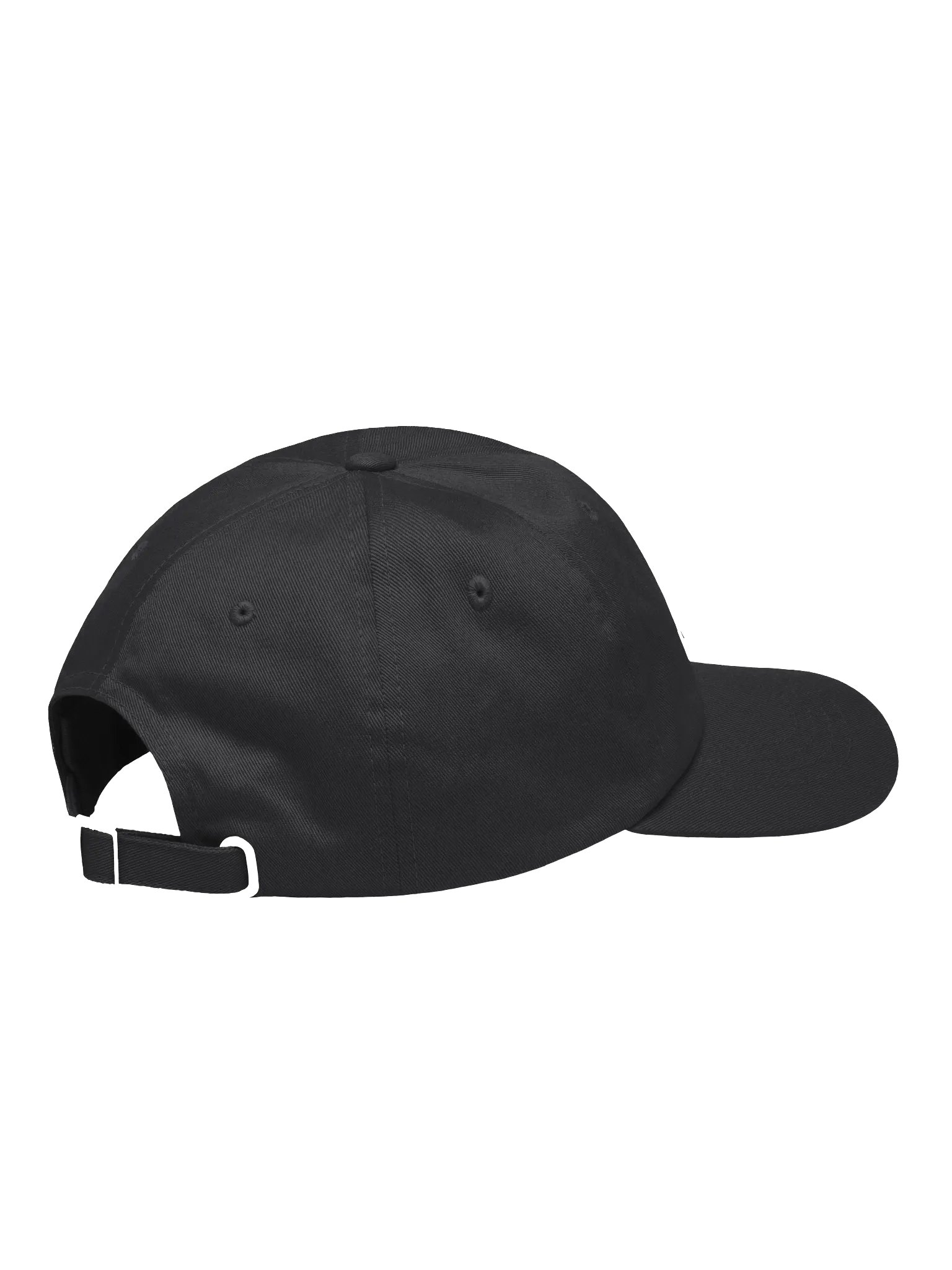 d2h Logo Dad Hat Embroidered product image (10)