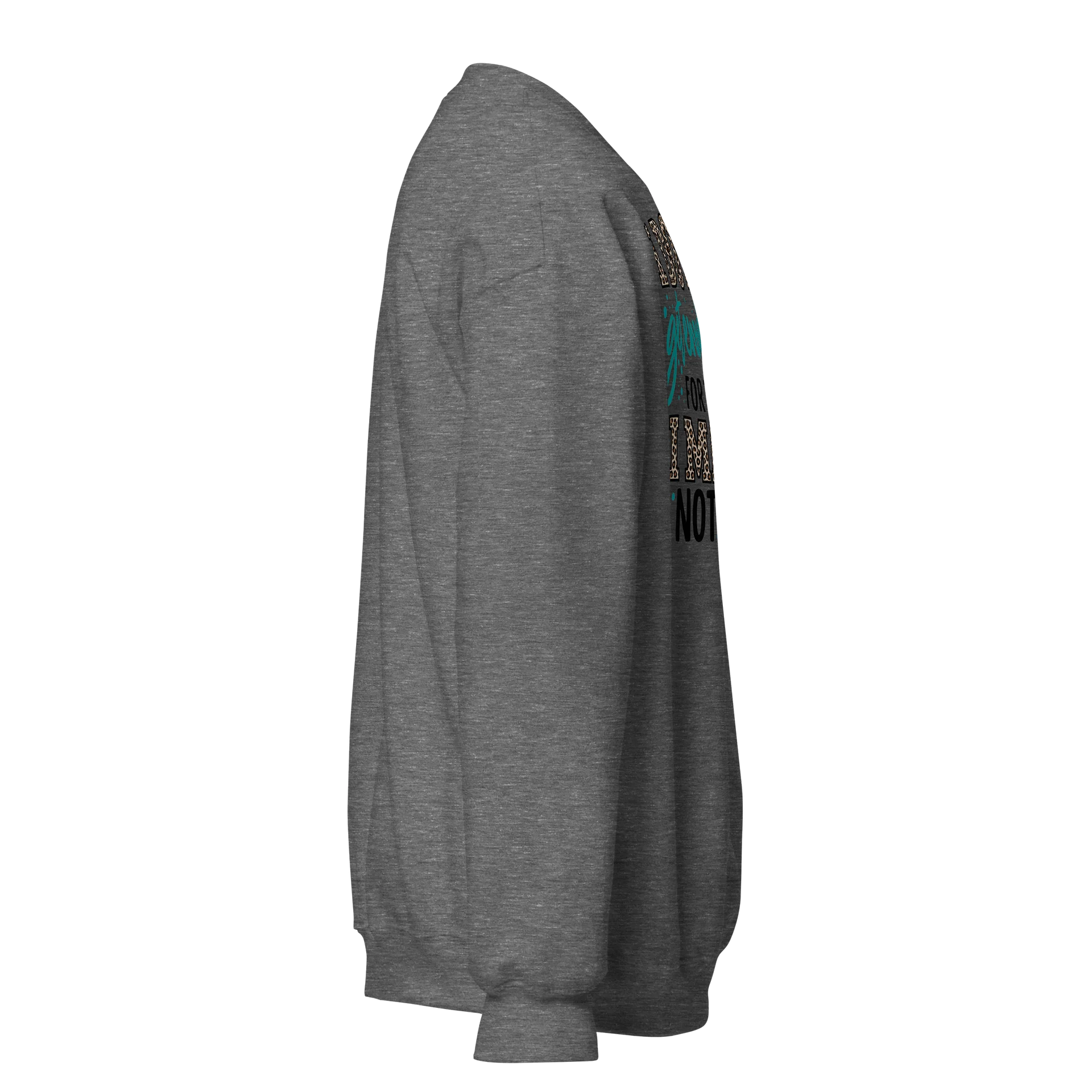 I Do Not Get Enough Credit Sweatshirt product image (12)
