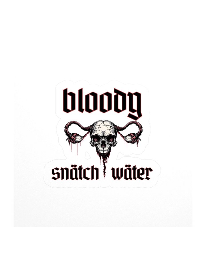 BSW Kiss Cut Vinyl Sticker product image (1)