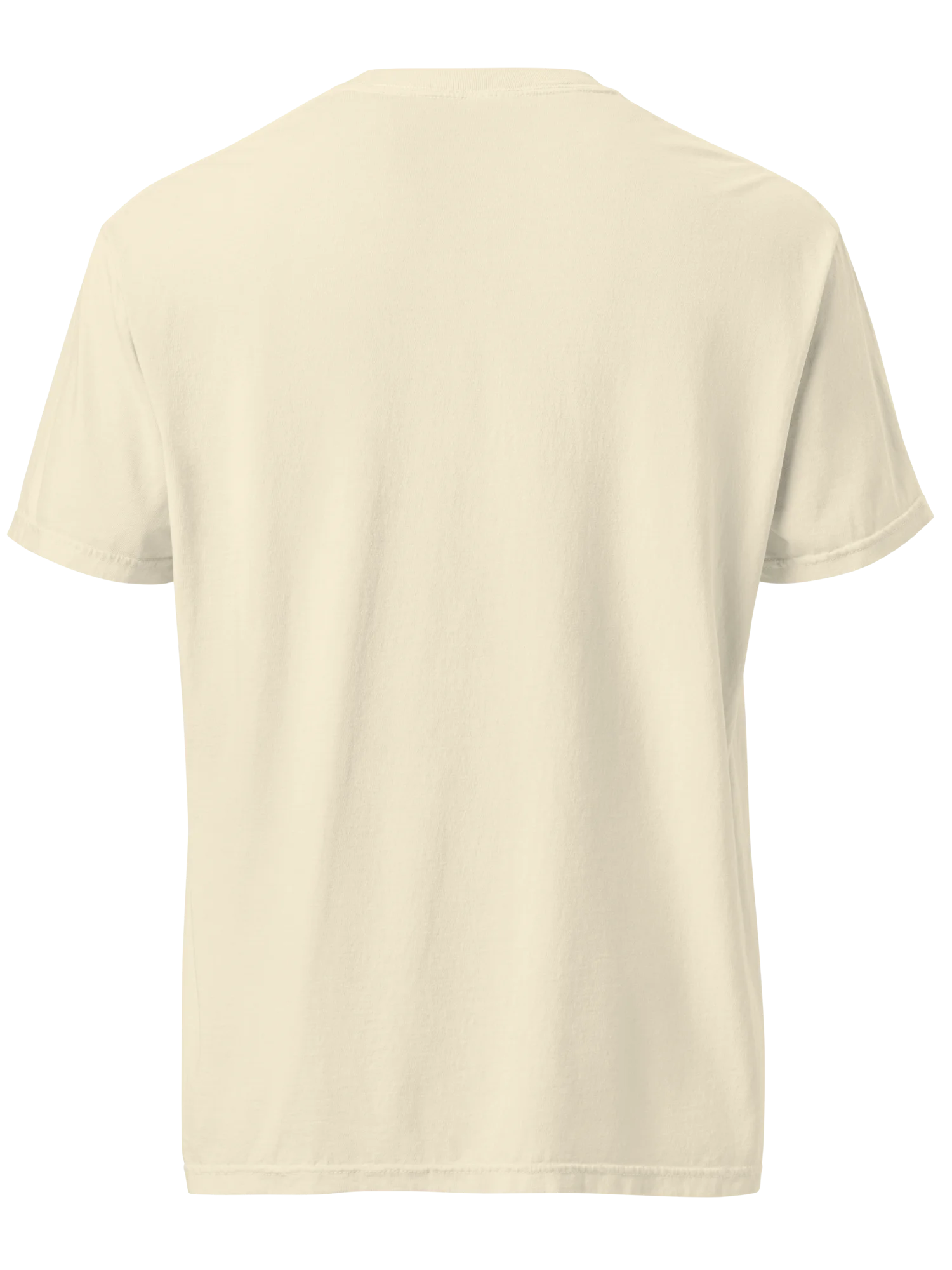 Protect Our National Parks Cryptid Shirt – Bigfoot, Mothman, Wendigo & Jackalope Comfort Colors Tee product image (2)