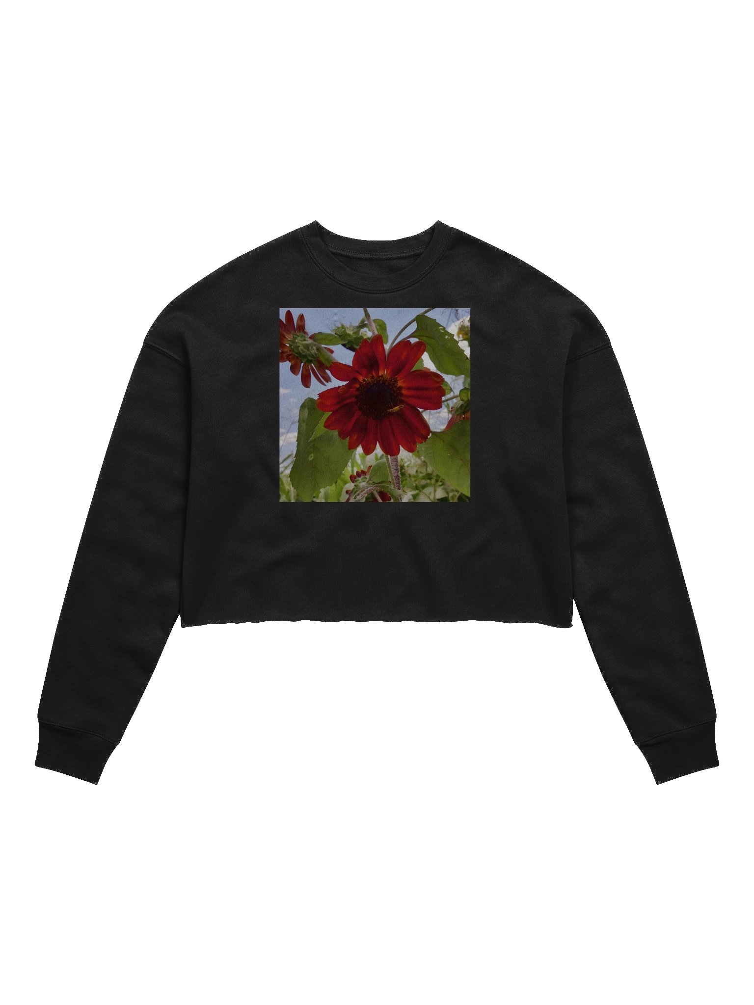 w product image (1)