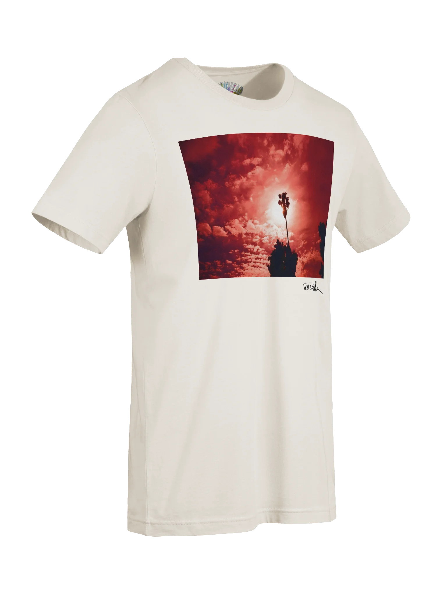 Palm tree photo tee: Limited TK photo series product image (9)