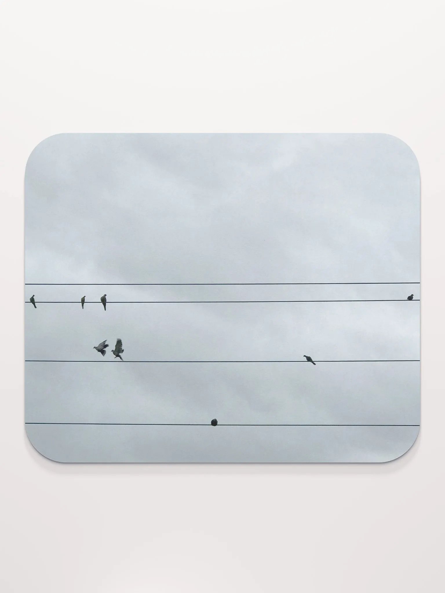 Bird Power product image (2)
