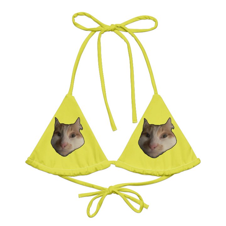 Show me your Kitties product image (1)