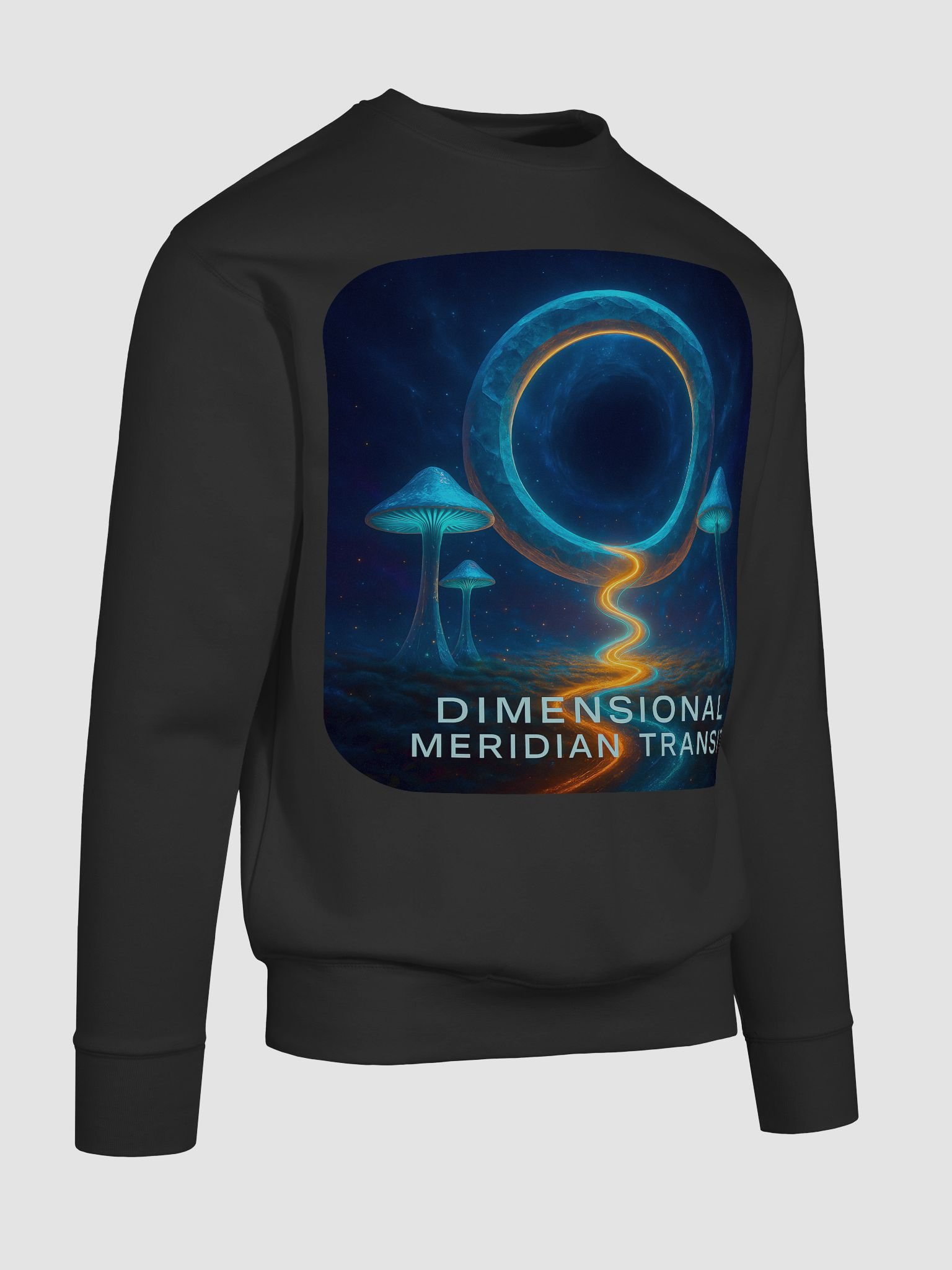 Dimensional Meridian Transit Sweatshirt product image (94)