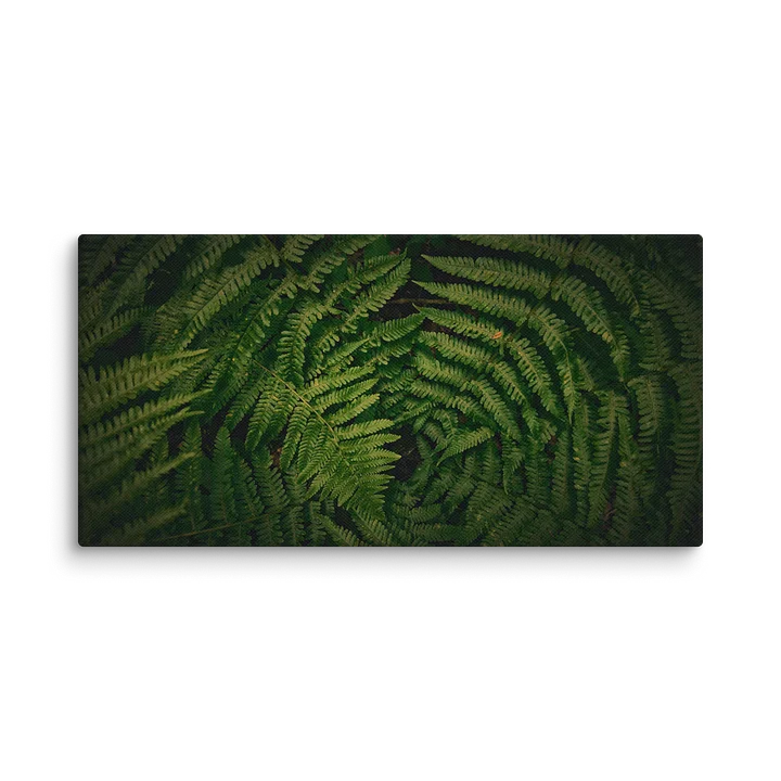 NORTHERN ILLUSIONS - Verdant Silence Canvas Print product image (2)