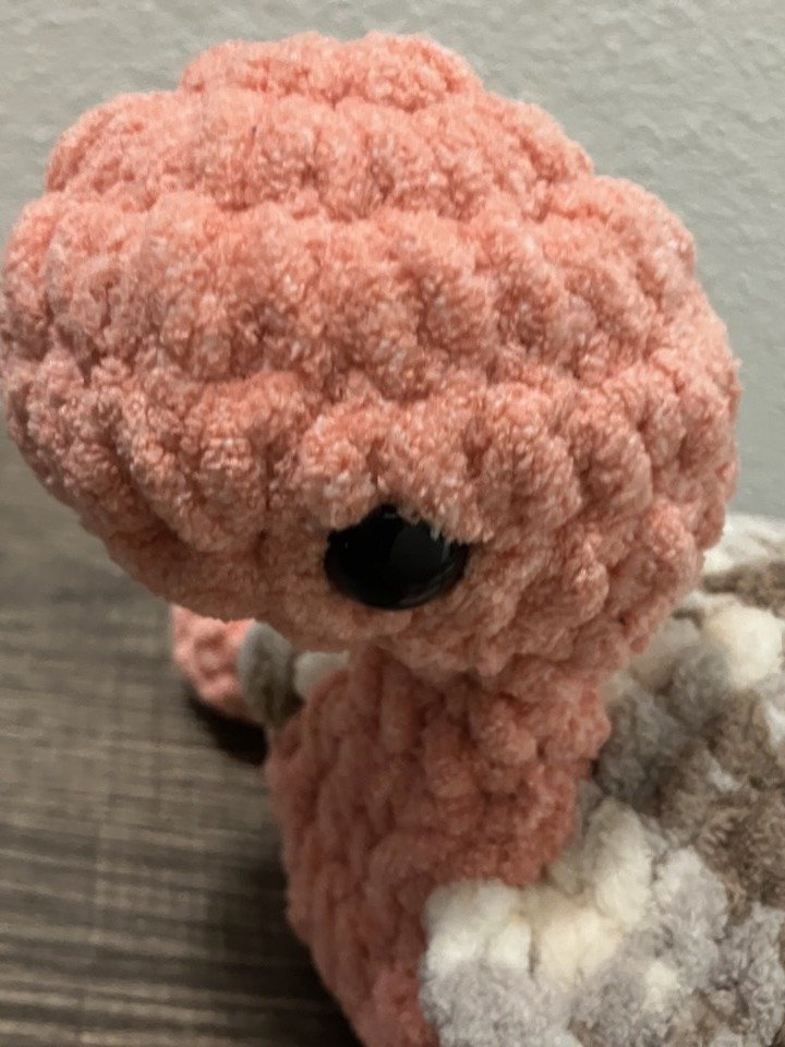 Slow & Steady- Variegated Crochet Land Turtle hand crochet product image (5)