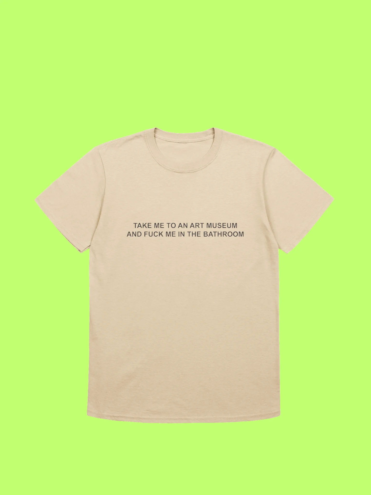 Take Me To An Art Museum And Fuck Me In The Bathroom Shirt product image (170)