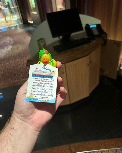 Found a duck before main dinning. Time to sign and rehide the duck! #royalcaribbean #cruisingducksoriginalgroup #allureoftheseas