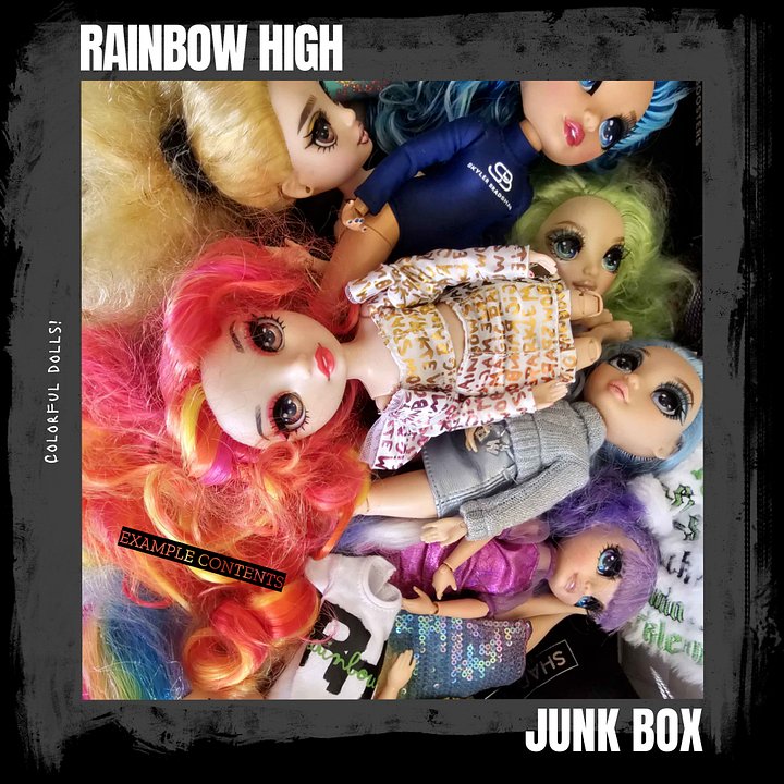 Rainbow High Doll Junk Box product image (1)