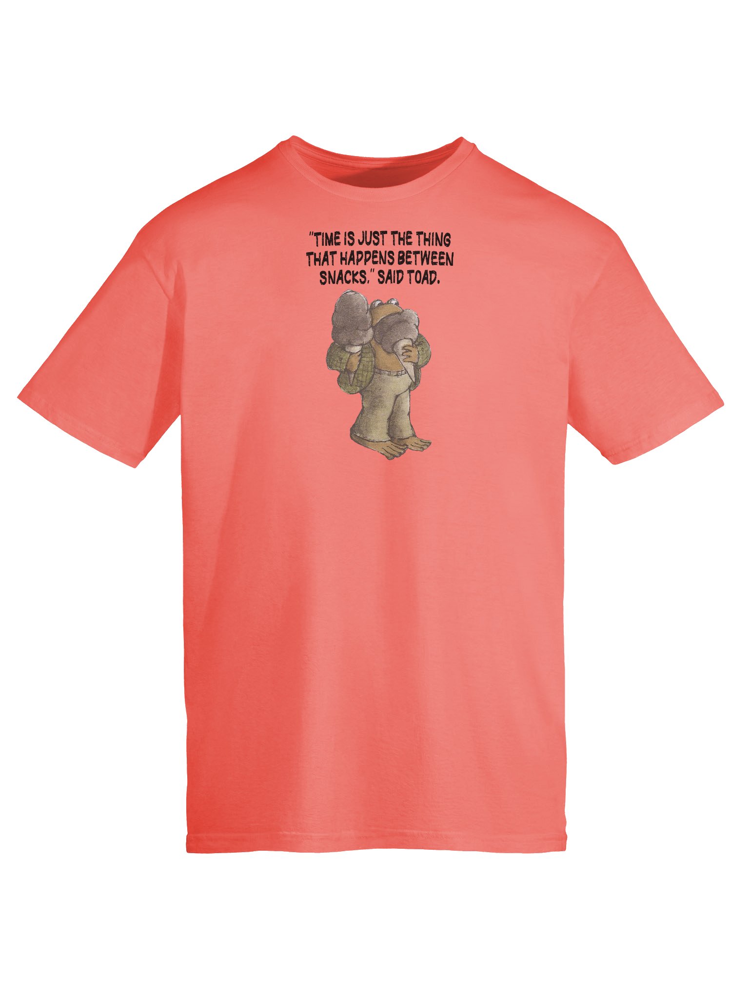 Frog and Toad Ice Cream T-Shirt product image (10)