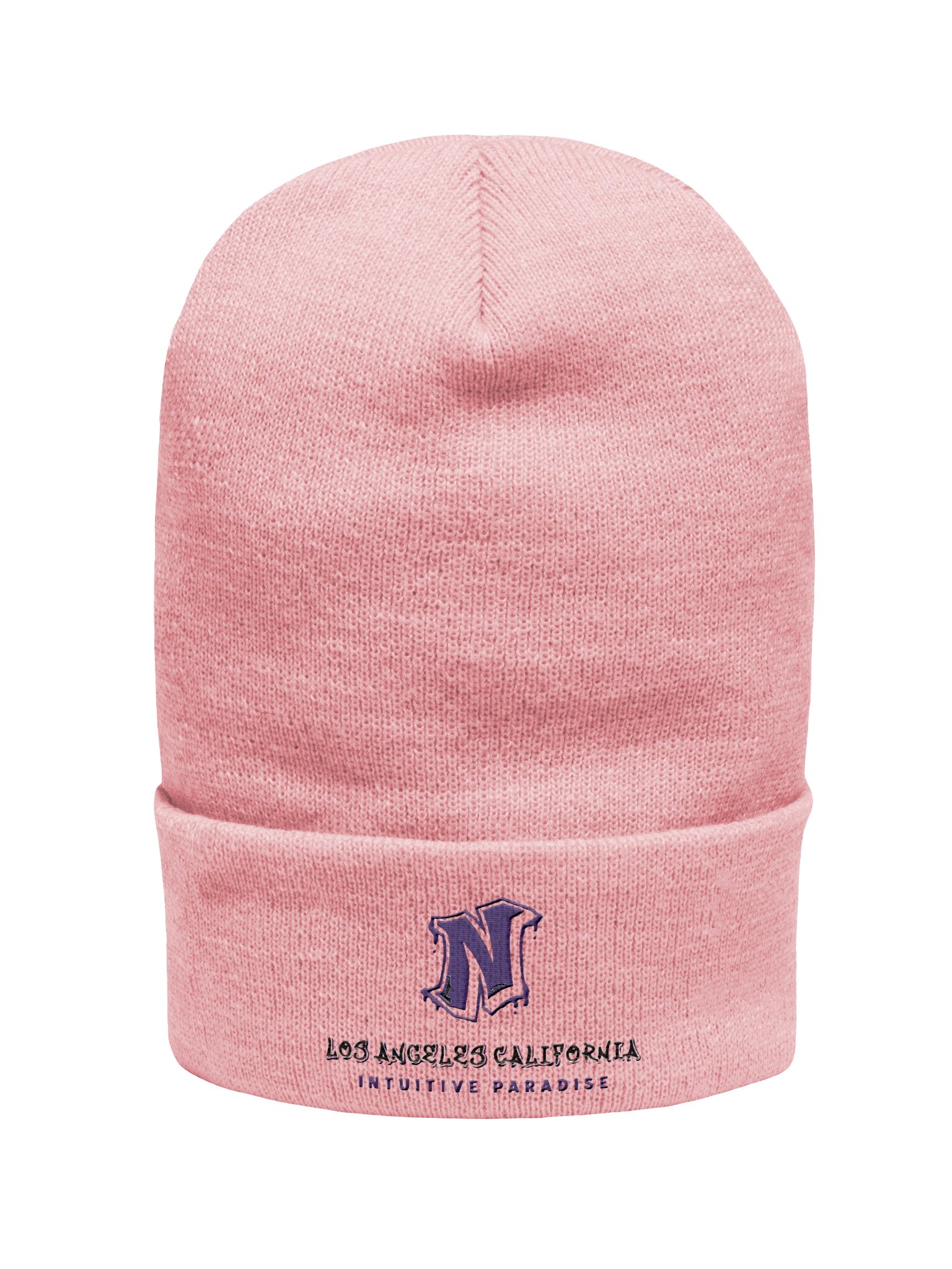 Intuitive Paradigm Embroidered Beanie product image (1)