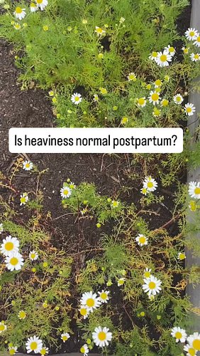 A feeling of heaviness, pressure, dragging, or bulging in the pelvis or vagina can feel concerning postpartum — especially wh...