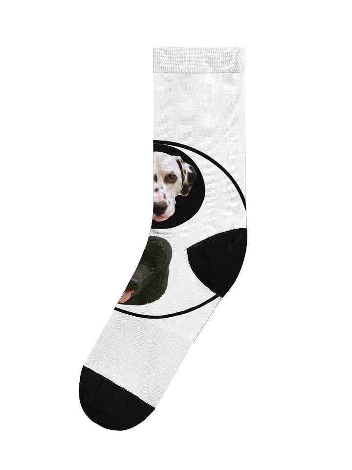 SOCKS! STEP OUT WITH JSTV MASCOTS product image (1)