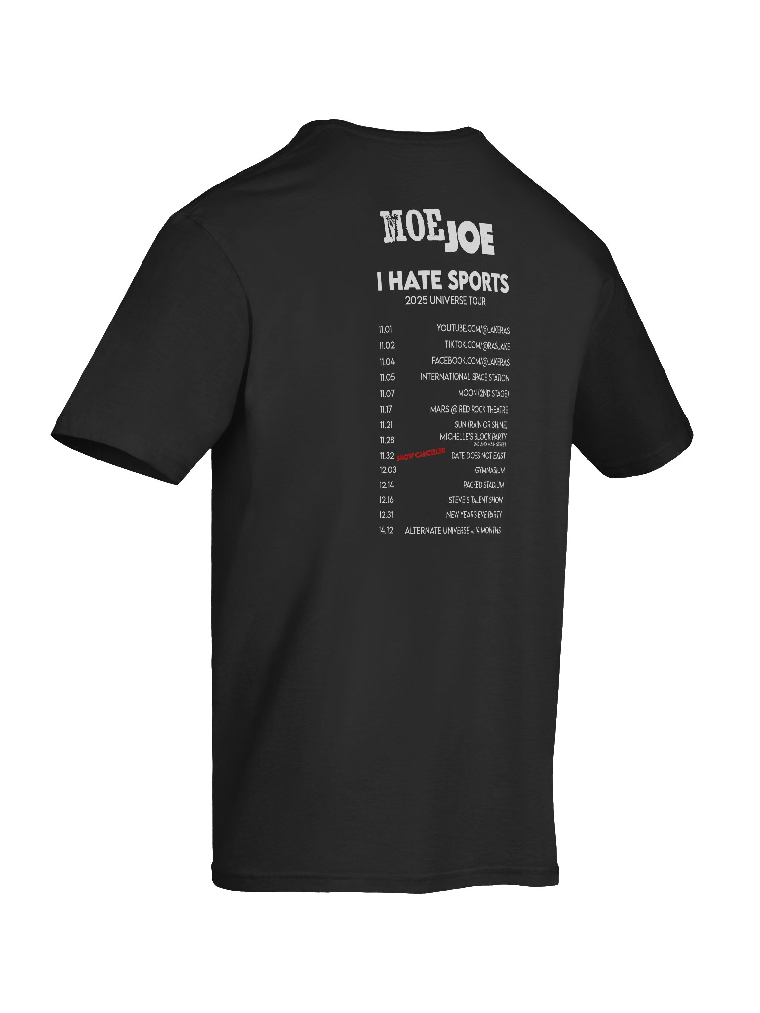 MoeJoe "I Hate Sports" 2025 Tour shirt product image (12)