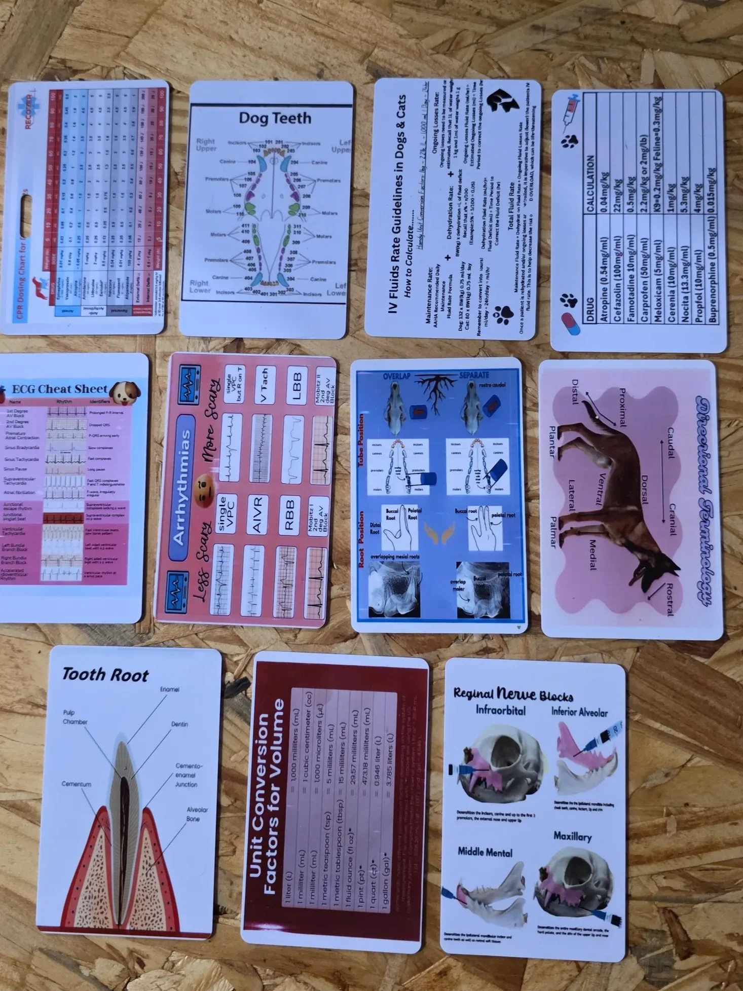 Vet/Vet Tech/Vet Nurse Badge Cheat Sheets product image (9)