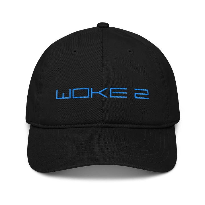 'Woke 2' Hat product image (1)